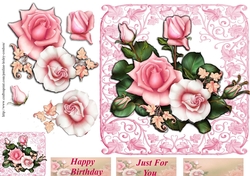 .rose