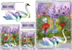 swans
