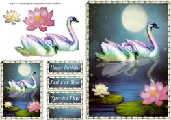 swans