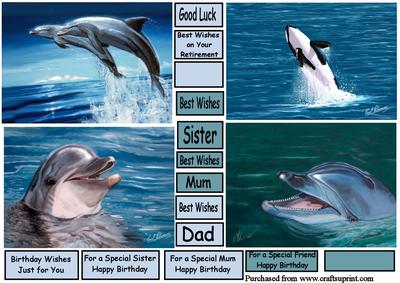 Dolphins and Whale Toppers