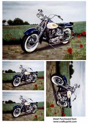 Customized Harley Davidson