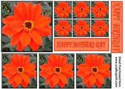 Orange Flower Topper