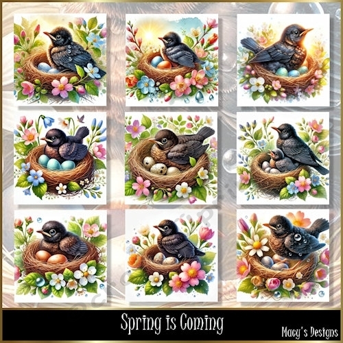 Spring is Coming