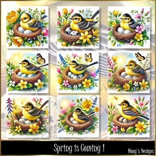 Spring is Coming 1