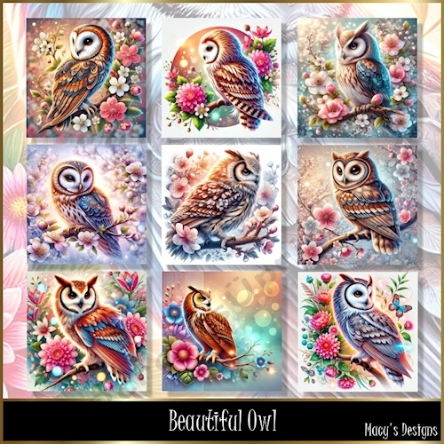 Beautiful Owl