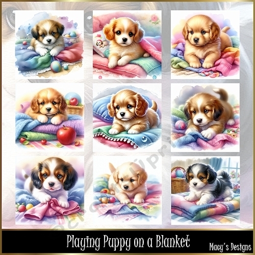 Playing Puppy on a Blanket