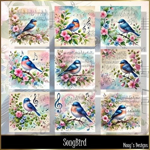 Song Bird