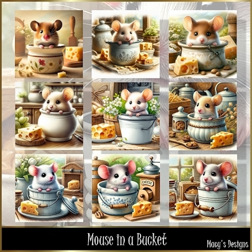 Mouse in a Bucket