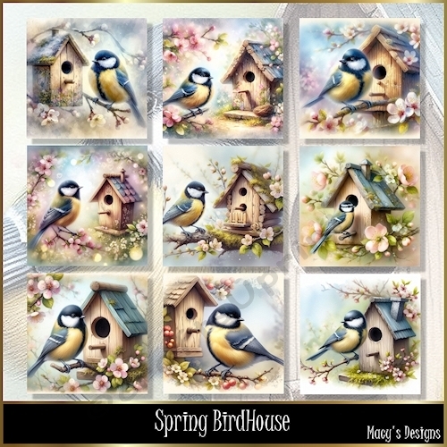Spring BirdHouse