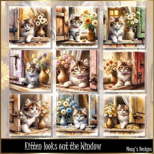 Kitten looks out the Window