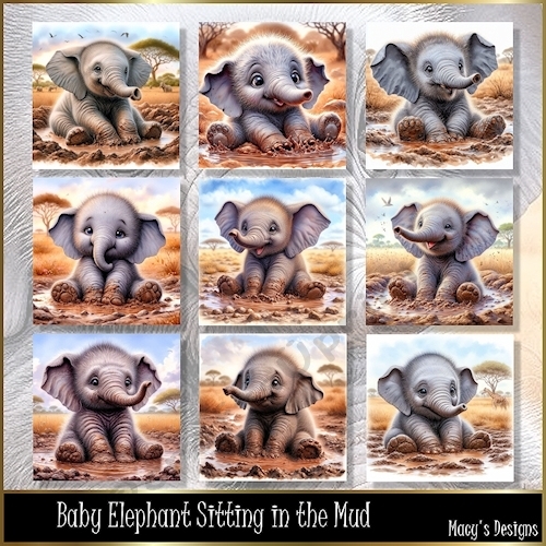 Baby Elephant Sitting in the Mud - Illustrations for Cards