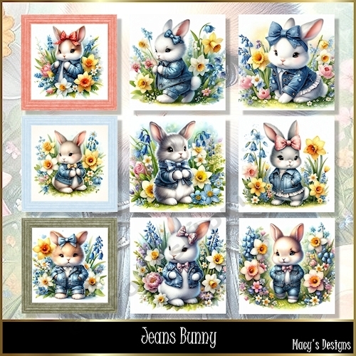 Jeans Bunny - Illustrations for Cards