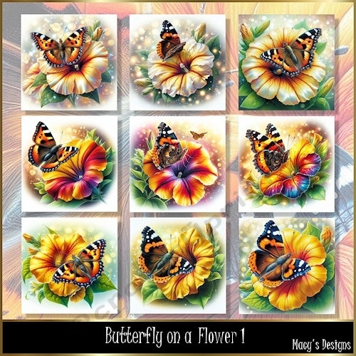 Butterfly on a Flower - Illustrations for Cards
