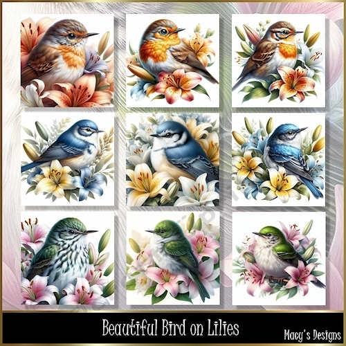 Beautiful Birds on Lilies - Illustrations for Cards