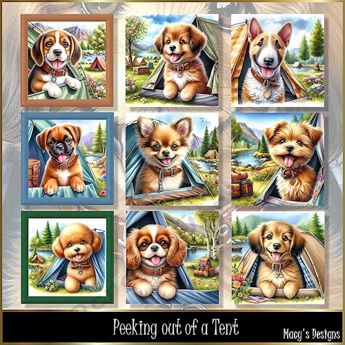 Peeking out of a Tent - Illustrations for Cards