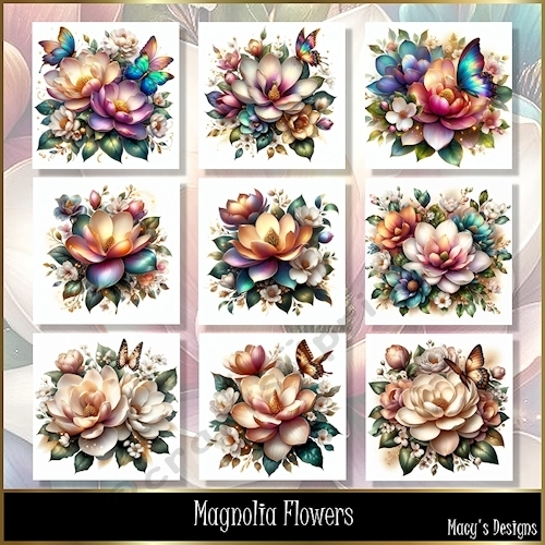 Magnolia Flowers - Illustrations for Cards