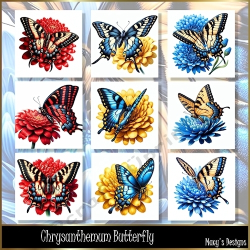 Chrysanthemum Butterfly - Illustrations for Cards
