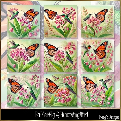 Butterfly & HummingBird - Illustration for Cards