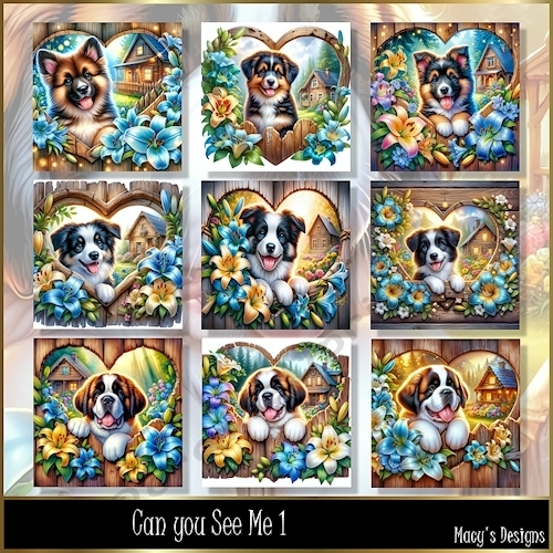 Can you see me 1 - Illustrations for Cards