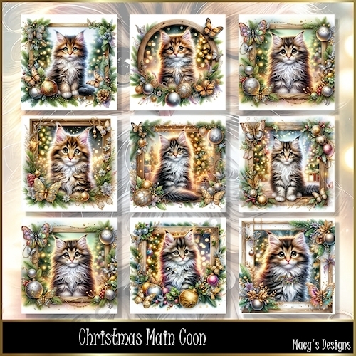 Christmas Main Coon - Illustrations for Cards