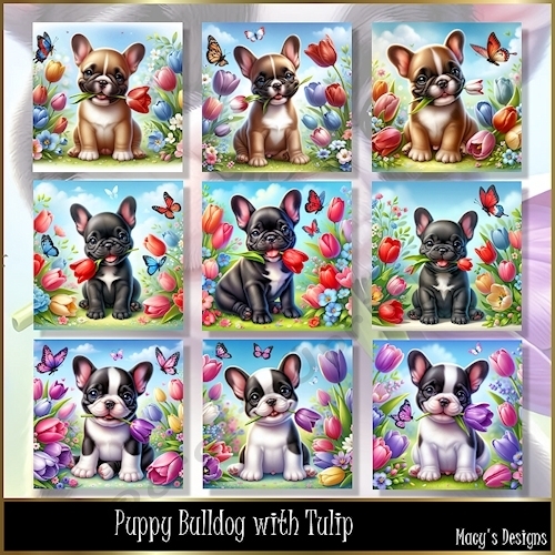 Puppy Bulldog with Tulip - Illustrations for Cards