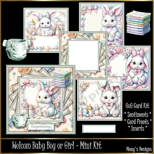 Welcome Baby Boy or Girl - Mini Kit