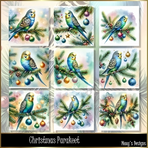 Christmas Parakeet - Illustrations for Cards
