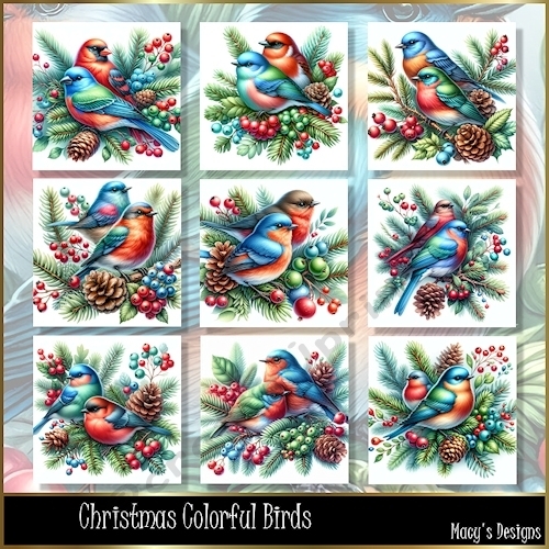 Christmas Colorful Birds - Illustration for Cards