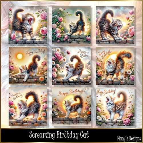 Sceaming Birthday Cat - Illustrations for Cards