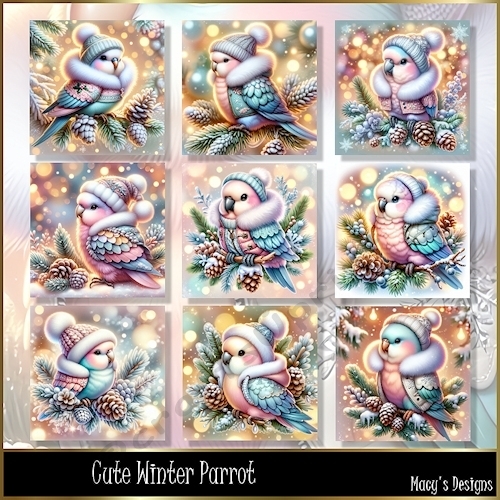Cute Winter Parrot - Illustrations for Cards