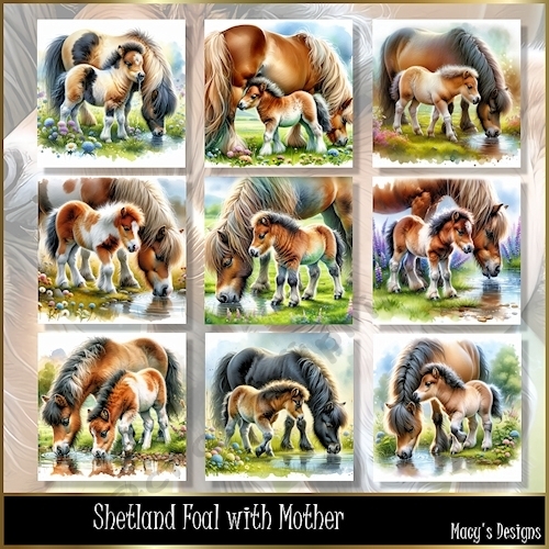 Shetland Foal with Mother - Illustrations for Cards