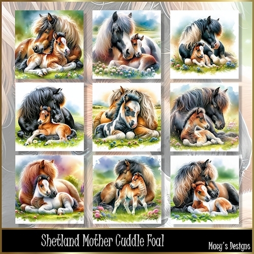Shetland Mother Cuddle Foal - Illustrations for Cards