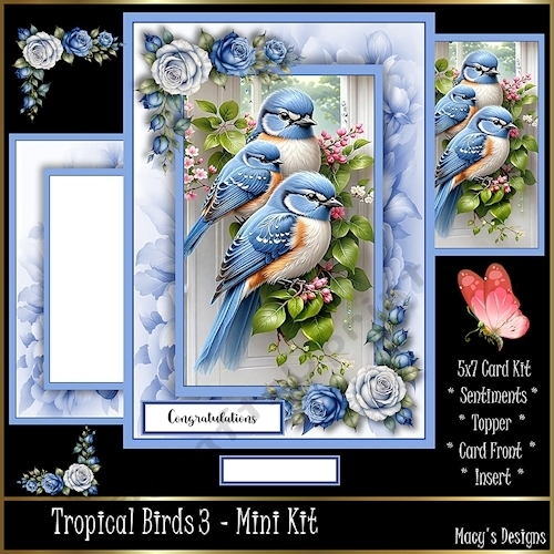 Tropical Birds 3 - Mini Kit
