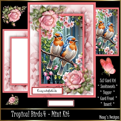 Tropical Birds 4 - Mini Kit