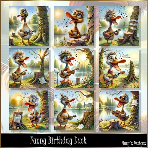 Funny Birthday Duck -  Illustrations for Cards, Mini kits & Designers