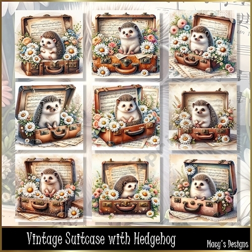 Vintage Suitcase with Hedgehog - Illustrations for Cards, Mini kits & Designers