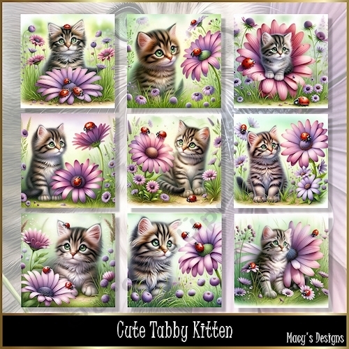 Cute Tabby Kitten - Illustrations for Cards, Mini kits & Designers