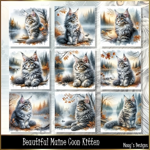 Beautiful Maine Coon Kitten - Illustrations for Cards, Mini kits & Designers