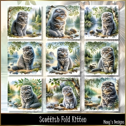 Scottish Fold Kitten - Illustrations for Cards, Mini kits & Designers