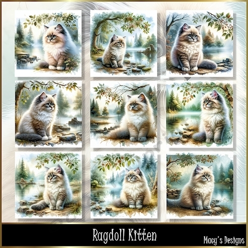 Ragdoll Kitten - Illustrations for Cards, Mini kits & Designers