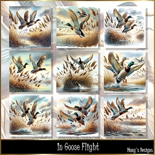 In Goose Flight - Illustrations for Cards, Mini kits & Designers