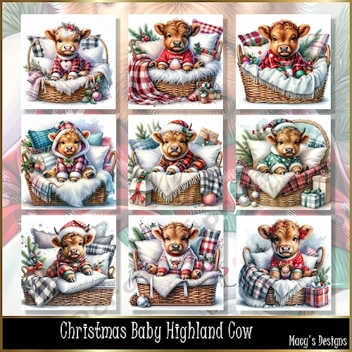 Festive Baby Highland Cow - Illustrations for Cards, Mini kits & Designers