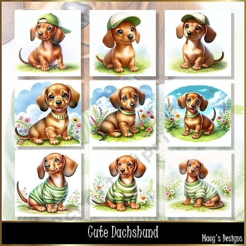 Cute Dachshund - Illustrations for Cards, Mini kits & Designers