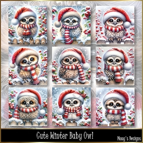 Cute Winter Baby Owl - Illustrations for Cards, Mini kits & Designers