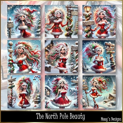The North Pole Beauty - Illustrations for Cards, Mini kits & Designers