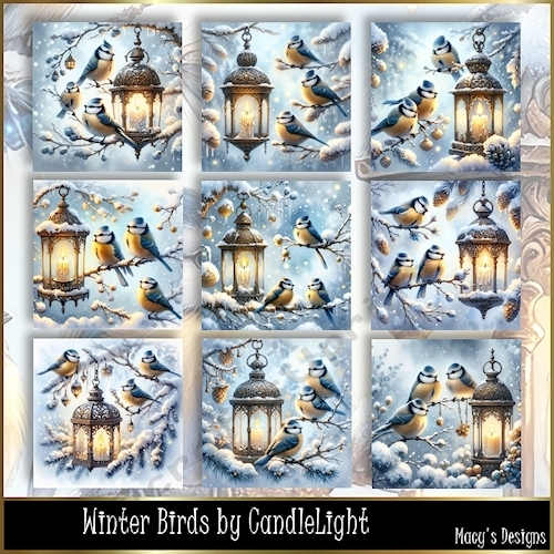 Winter Birds by CandleLight - Illustrations for Cards, Mini kits & Designers