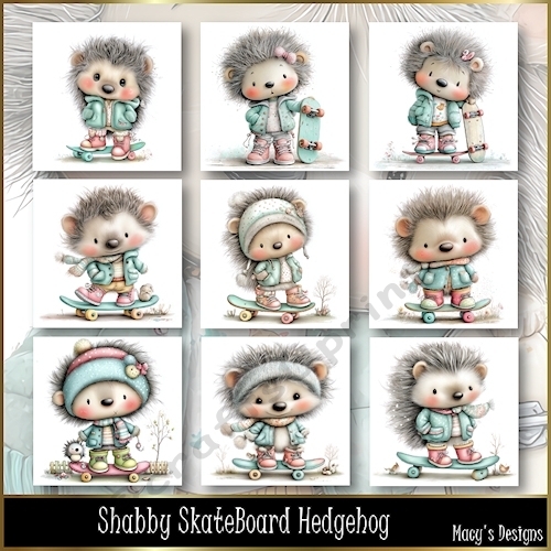 Shabby SkateBoard Hedgehog - Illustrations for Cards, Mini kits & Designers