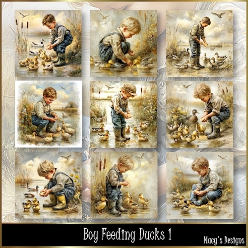 Boy Feeding Ducks 1 - Illustrations for Cards, Mini kits & Designers