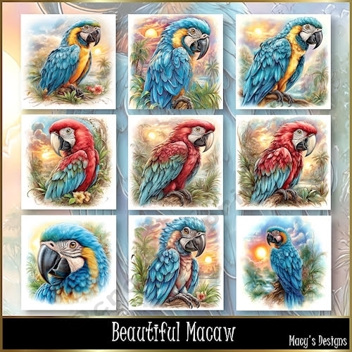 Beautiful Macaw - Illustrations for Cards, Mini kits & Designers