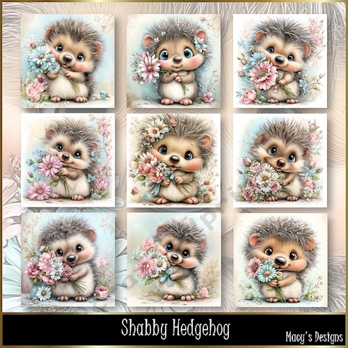 Shabby Hedgehog - Illustrations for Cards, Mini kits & Designers